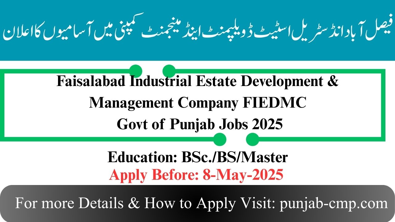 FIEDMC Govt of Punjab Jobs 2025