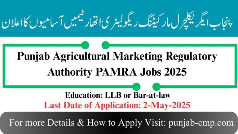 PAMRA Lahore Jobs 2025