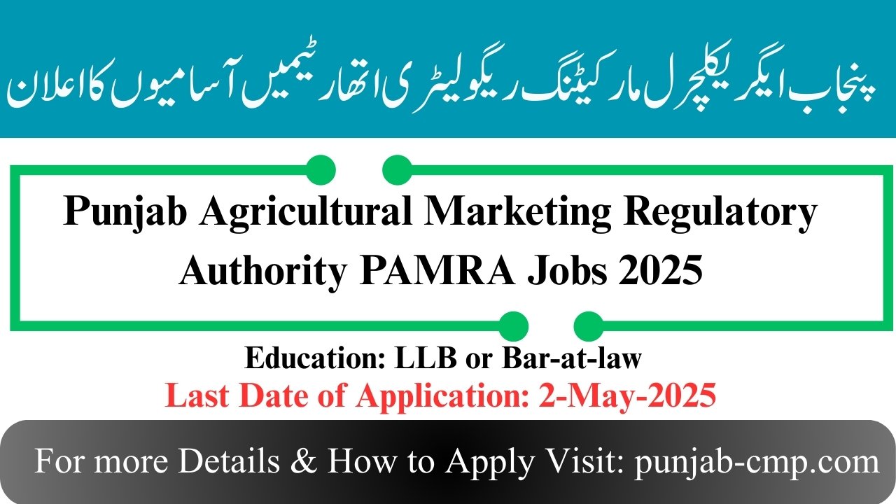 PAMRA Lahore Jobs 2025