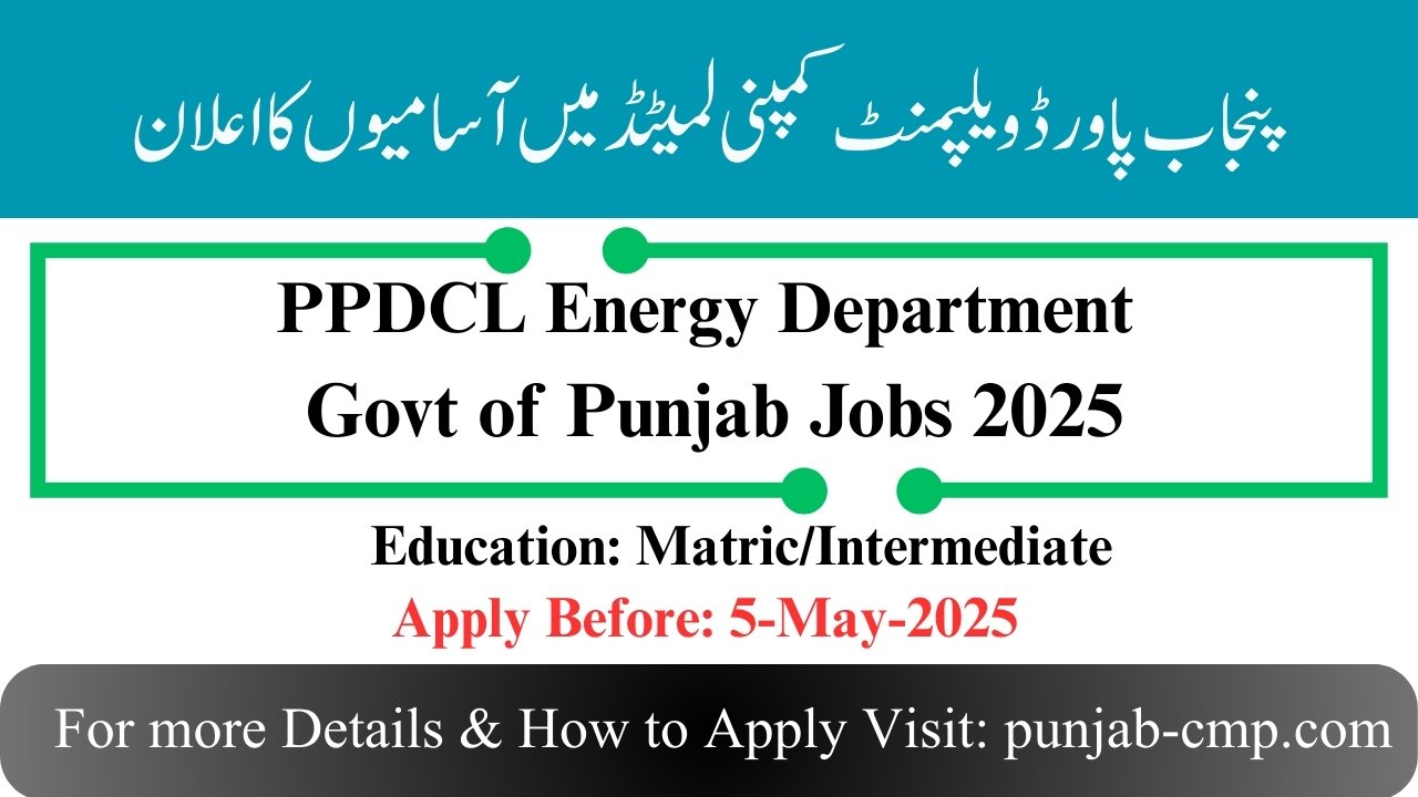 PPDCL Energy Department Govt of Punjab Jobs 2025